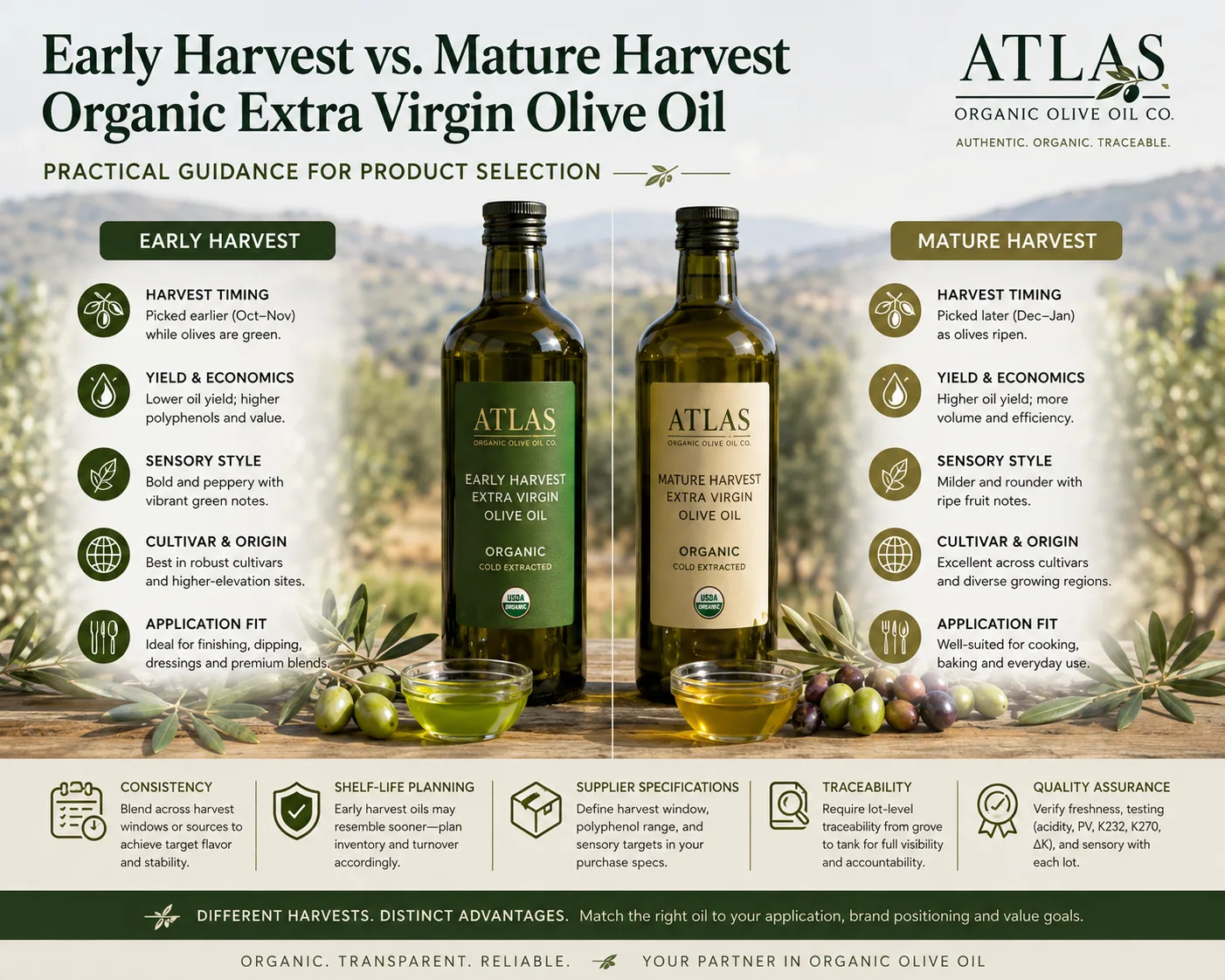 Early Harvest vs. Mature Harvest Organic Extra Virgin Olive Oil
